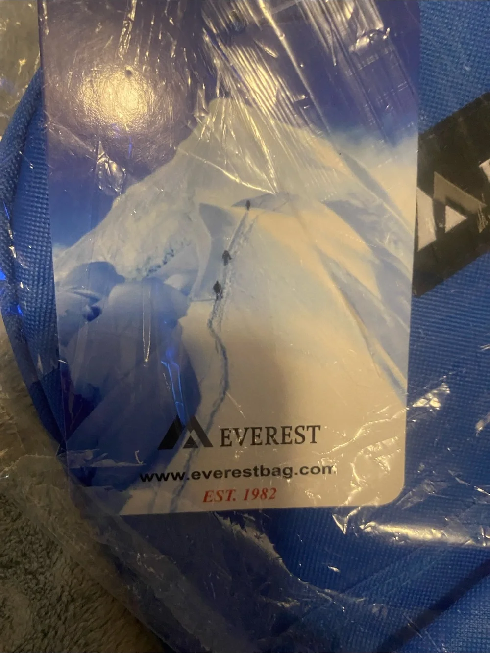 EVEREST Classic Blue Everyday Backpack for Men